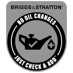 Best Pirce π₯° Lawn Mowers Toro Recycler 21 In. Briggs And Stratton High-Wheel Gas Walk Behind Push Mower π 24 Best Pirce π₯° Lawn Mowers Toro Recycler 21 In. Briggs And Stratton High-Wheel Gas Walk Behind Push Mower π -Outdoors Sales unnamed file 1021