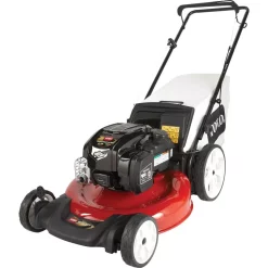 Best Pirce π₯° Lawn Mowers Toro Recycler 21 In. Briggs And Stratton High-Wheel Gas Walk Behind Push Mower π 27 Best Pirce π₯° Lawn Mowers Toro Recycler 21 In. Briggs And Stratton High-Wheel Gas Walk Behind Push Mower π -Outdoors Sales unnamed file 1024