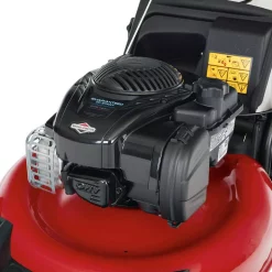 Cheap ✔️ Lawn Mowers Toro Recycler 21 In. Briggs & Stratton High Wheel Gas Walk Behind Push Lawn Mower With Bagger 🤩 -Outdoors Sales unnamed file 531