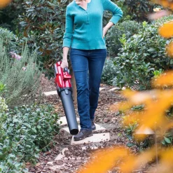 Top 10 😍 Leaf Blowers Toro PowerPlex 150 MPH 480 CFM 40-Volt Max Lithium-Ion Cordless Brushless DC Leaf Blower – Battery And Charger Not Lncluded 🌟 -Outdoors Sales unnamed file 228