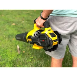 New 🎁 Leaf Blowers DEWALT 125 MPH 600 CFM FLEXVOLT 60V MAX Lithium-Ion Cordless Axial Blower With (1) 3.0Ah Battery And Charger Included 🥰 -Outdoors Sales unnamed file 423