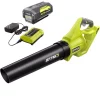 Buy ✨ Leaf Blowers RYOBI Reconditioned 110 MPH 500 CFM 40-Volt Lithium-Ion Cordless Variable-Speed Jet Fan Leaf Blower, 4.0Ah Battery And Charger 💯 -Outdoors Sales unnamed file 475