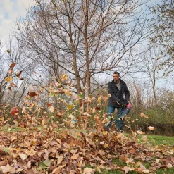 Buy 🧨 Leaf Blowers Toro PowerJet F700 140 MPH 725 CFM 12 Amp Electric Handheld Leaf Blower 🥰 -Outdoors Sales unnamed file 50
